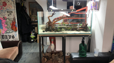 Hard scape et mise en eau