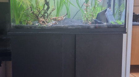 aquarium Aq