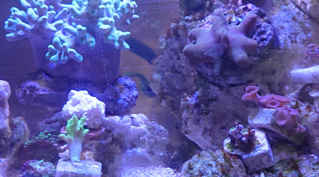 Vue du passage droite