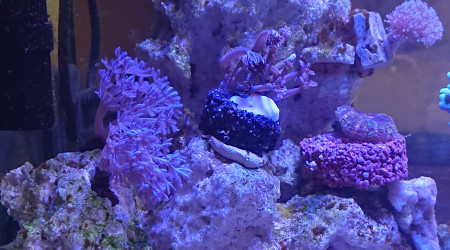 Vue du pilier gauche