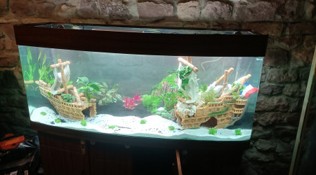aquarium Aquarium 500 litres