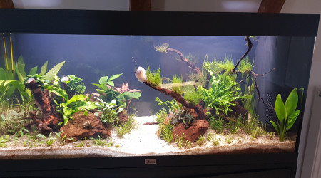 De plus en plus clair...