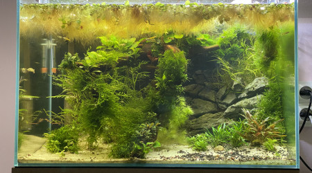 Photo d’actualisation