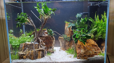 Petit mais chronophage !