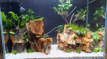 Vue de l'autre côté