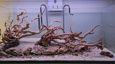 Plantes commandées !