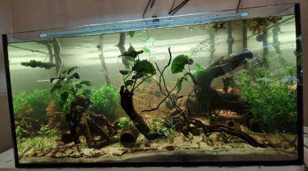 aquarium Aquarium 200 Litres