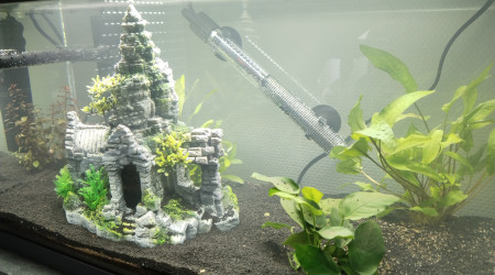 aquarium Inwa confort 60