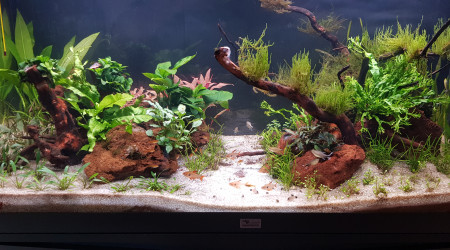 La photo du dimanche