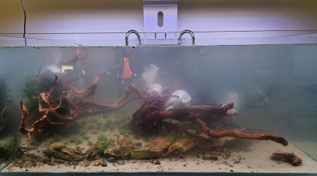 24h après la mise en eau