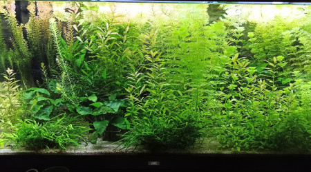 360L Salon - MAJ Photo