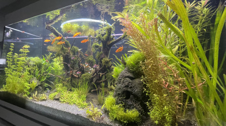 Taille  après deux mois d’absence