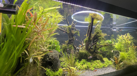 Taille  après deux mois d’absence