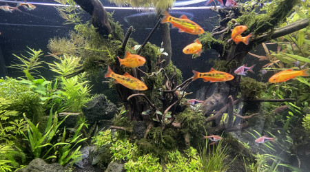 Taille  après deux mois d’absence