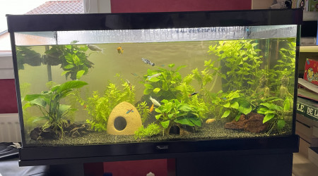 aquarium Aquarium 100L