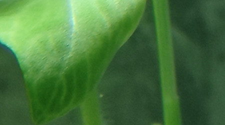 Deuxième inquiétude mais tranquille.