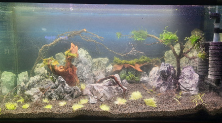 1er jour (mise en eau)