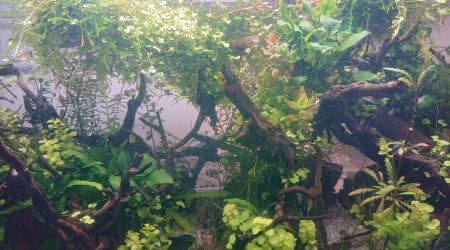 Zoom sur le point de fuite