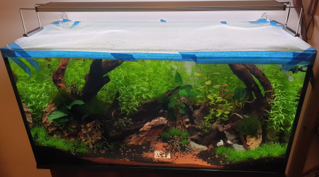 Prototype anti évasion crevettes