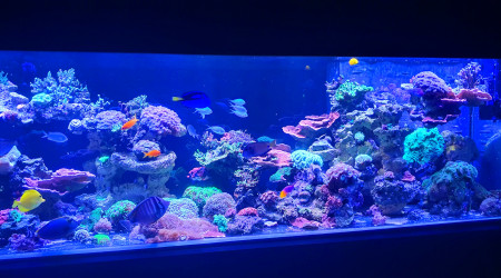 Petite photo au réveil