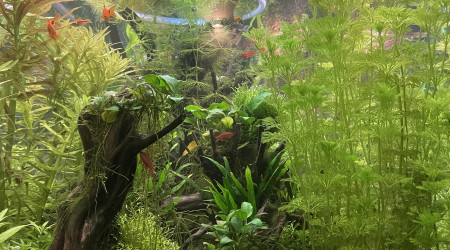 Fin de journée en détente