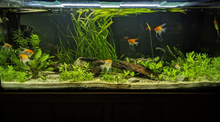 aquarium Aquarium 500L