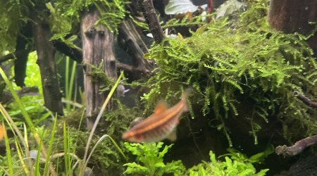 Tour d’horizon de la population