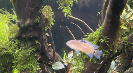 Tour d’horizon de la population