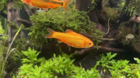 Tour d’horizon de la population