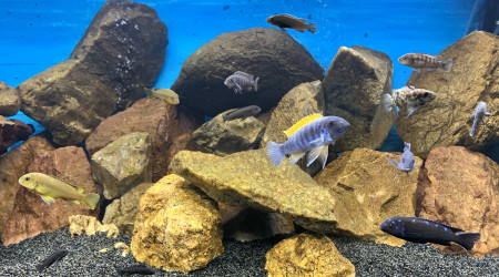 Séance de photo du soir après nettoyage