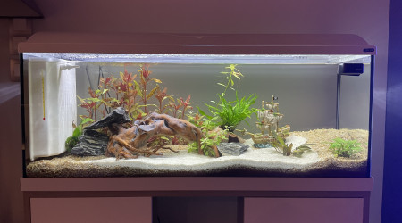 Presque 2 semaines depuis mise en route