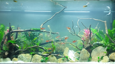 aquarium 500L