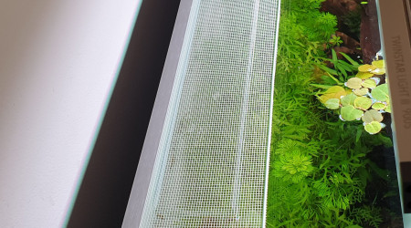 Anti évasion crevettes mis au propre