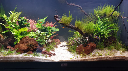 Photo de la semaine (13)