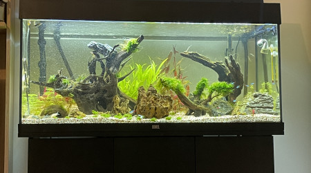 aquarium Max 180l