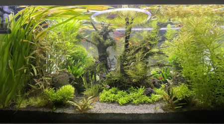 aquarium Eheim  Incpiria 430