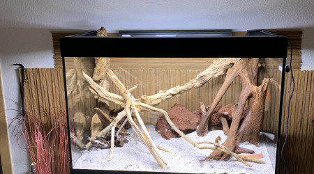 Mise en place du décor