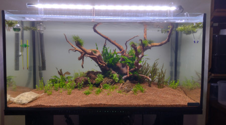 aquarium 120L