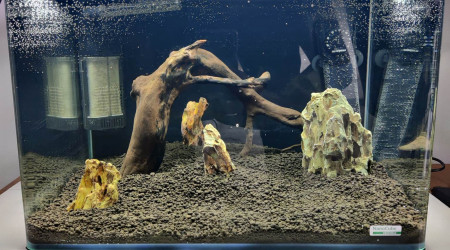 aquarium Nano asiatique 35 L
