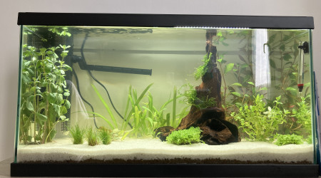 aquarium 60l