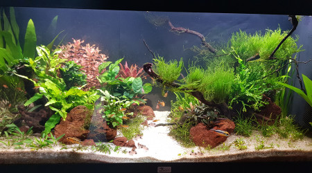 Entretien du 11 avril 2023