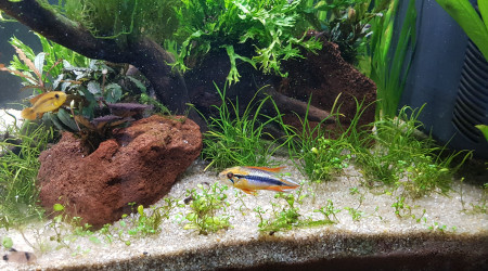 Entretien du 11 avril 2023