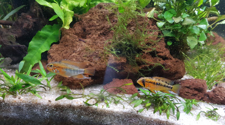 Entretien du 11 avril 2023