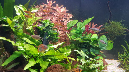 Entretien du 11 avril 2023