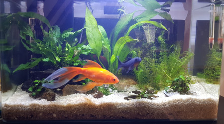 Entretien du 11 avril 2023