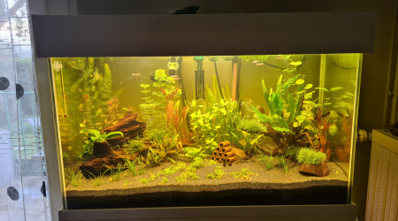 aquarium 90L