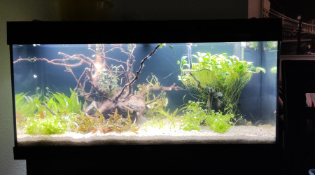 aquarium 180l