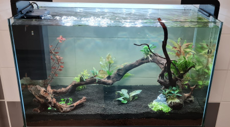 aquarium Home 110