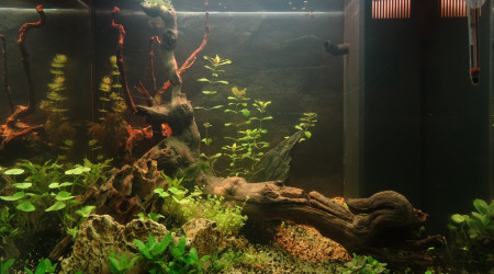 Sanctuaire  : Jour 10