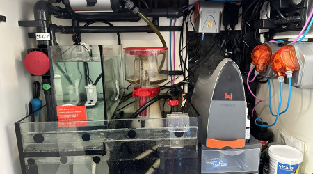 Décantation Reefer 250